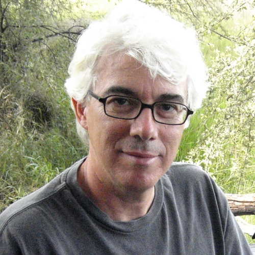 Paulo Morelli